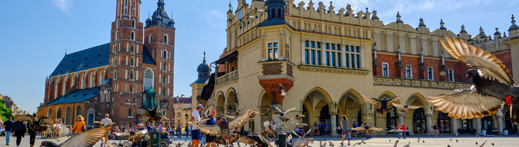 Simonse Tours - reizen naar Polen